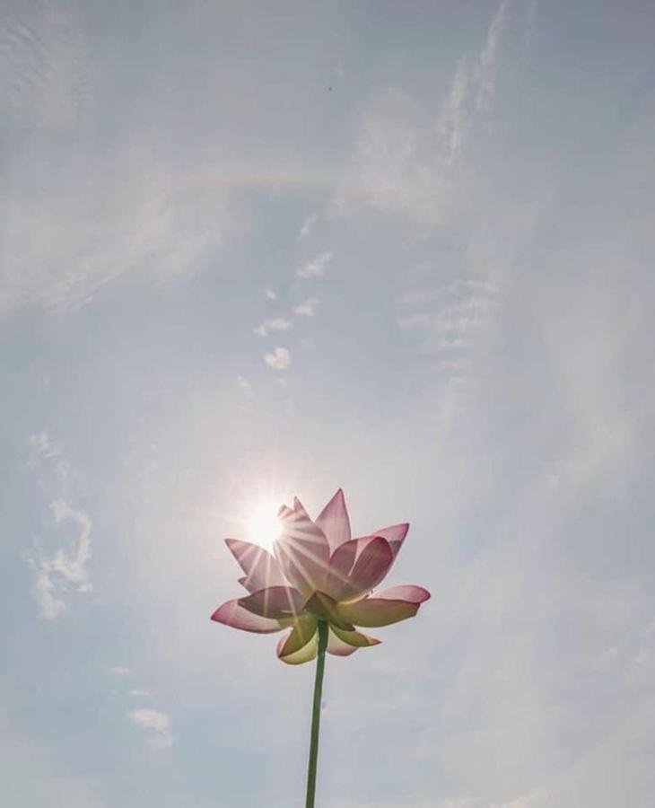 Khach San Flower Sky Nha Trang Exterior photo